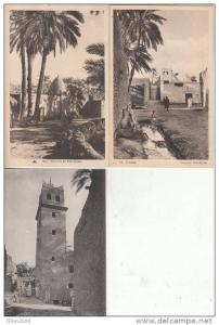 ALGERIE - mosquées de Biskra