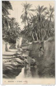 BISKRA   L OASIS