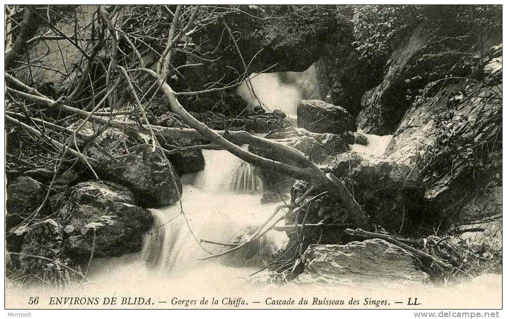 gorges de la chiffa cascade du ruisseau des singes environs de blida LL 56