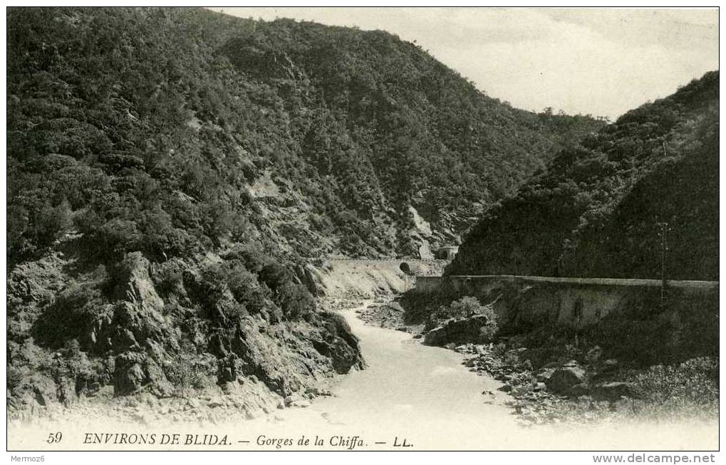 gorges de la chiffa environs de blida LL 59