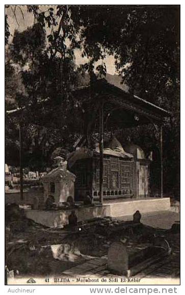 41 blida - marabout de Sidi El-Kébir