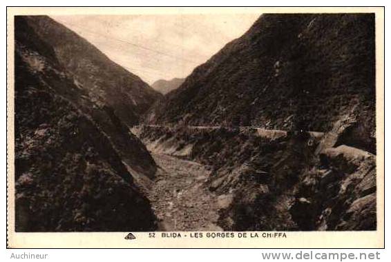 52 blida - les gorges de la Chiffa