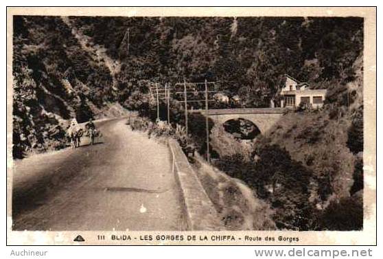 111 blida - les gorges de la Chifta - route des gorges