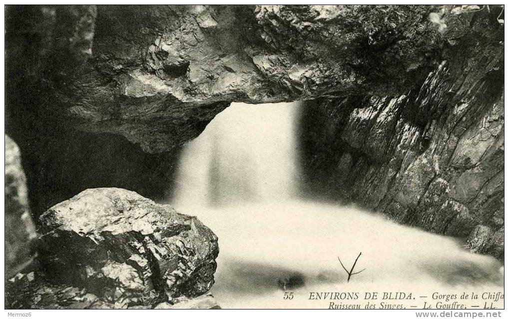 gorges de la chiffa ruisseau des singes le gouffre environs de blida LL 55