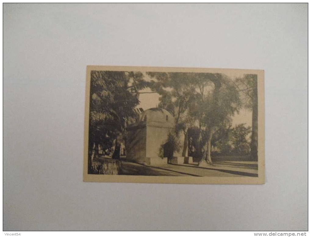 cpa BLIDA - bois sacré et Marabout