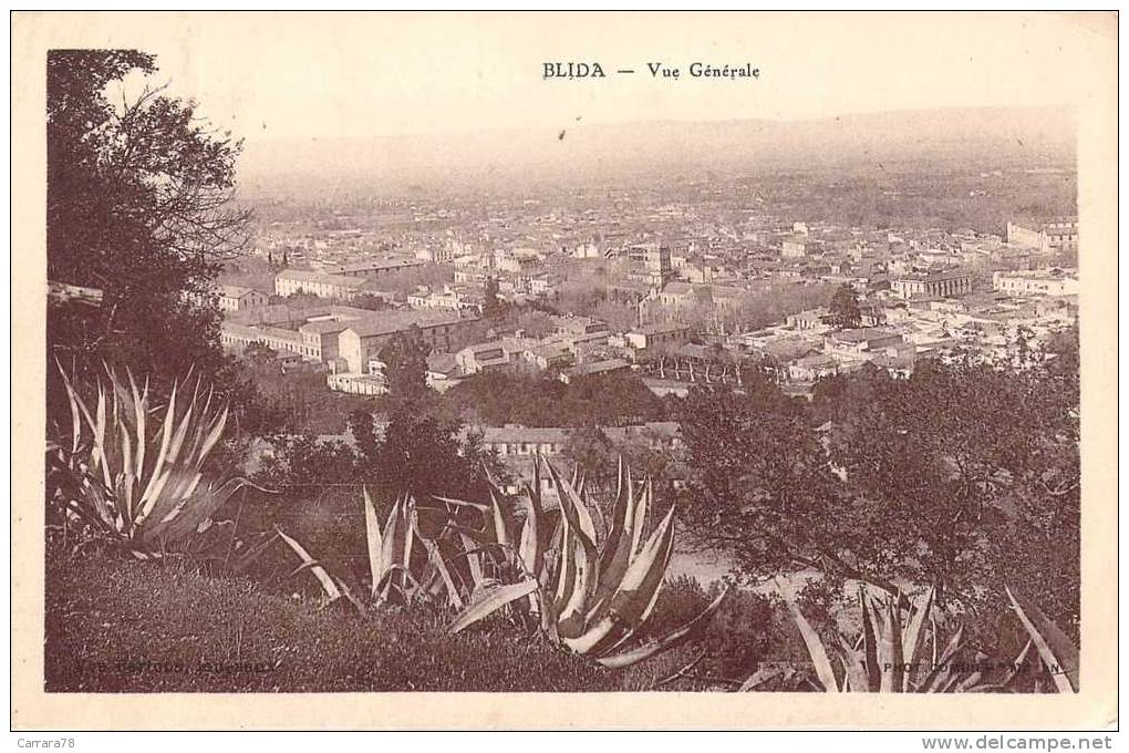1934 ALGERIE BLIDA VUE GENERALE