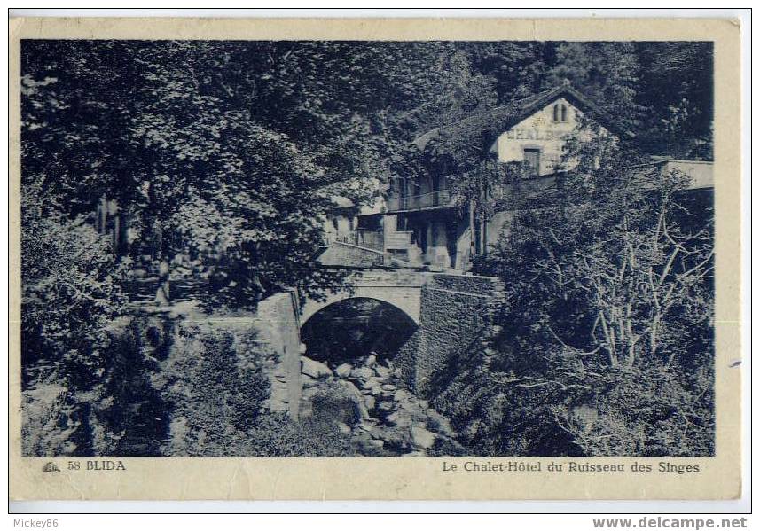 Algérie--1946----BLIDA--L e Chalet-Hotel du Ruisseau des Singes ,cpsm n°58 par CAP