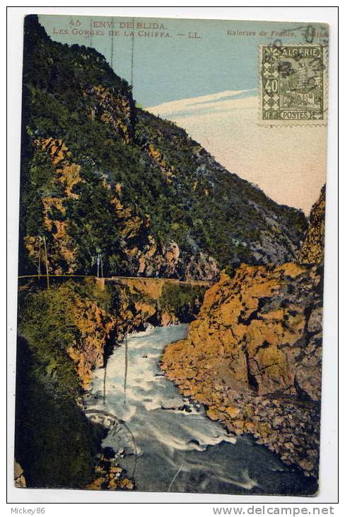 Algérie--près BLIDA--1930--Les gorges de la Chiffa  n°45  éd  LL----carte colorisée