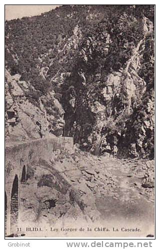 ALGERIE  BLIDA GORGES CHIFFA ROUTE du RUISSEAU des SINGES GRANDE CASCADE NON ECRITE NEUVE