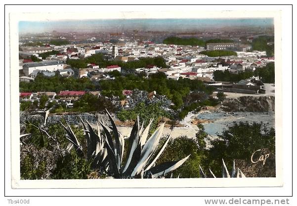 Algérie_BLIDA_vue générale prise du Fort Mimich_circul.1951