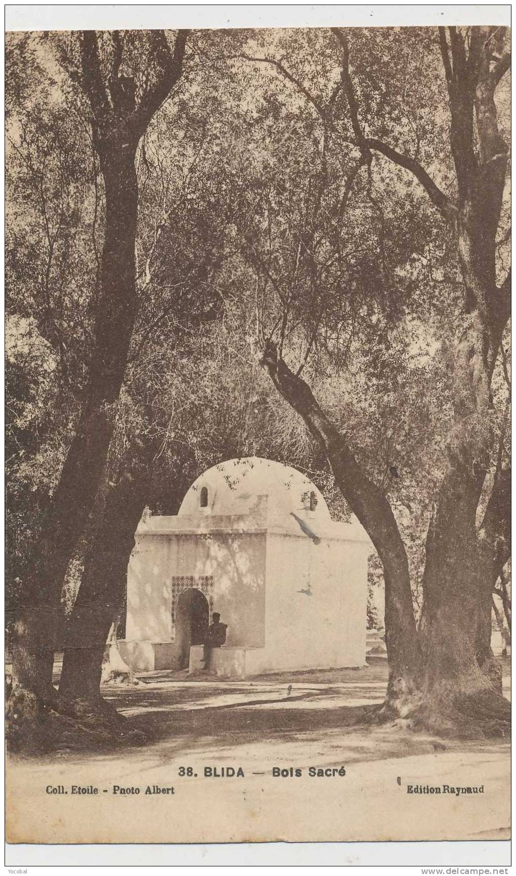 cp , ALGERIE , BLIDA , Bois Sacré