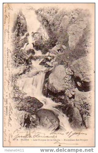 CPA BLIDA - LES GORGES DE LA CHIFFA - RUISSEAU DES SINGES