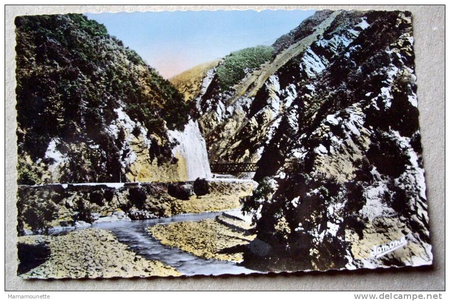 Algérie CP N° 382A - Blida - CPSM/E