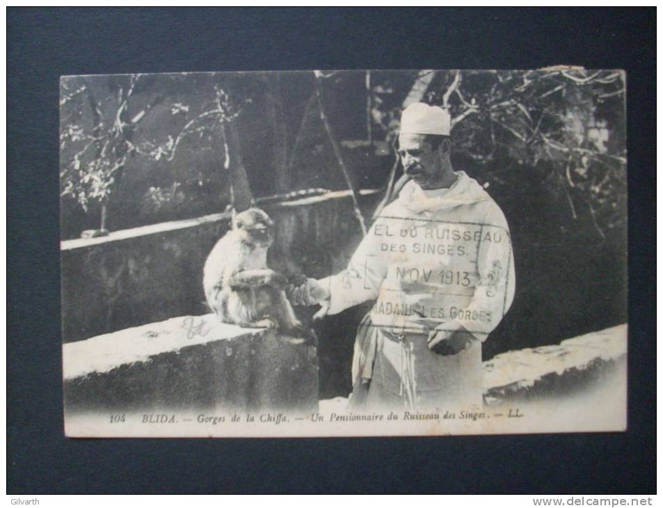 BLIDA un pensionnaire du ruisseau des singes LL 104  - CIRCULEE  1913 L68F