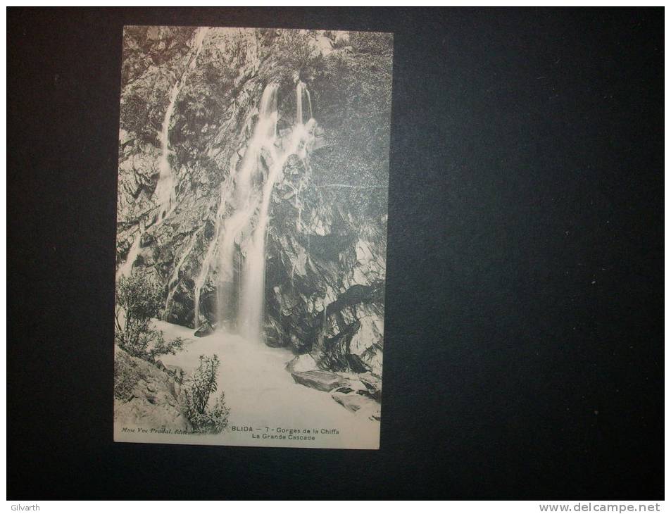 BLIDA gorges de la chiffa la grande cascade - NON CIRCULEE  L79A