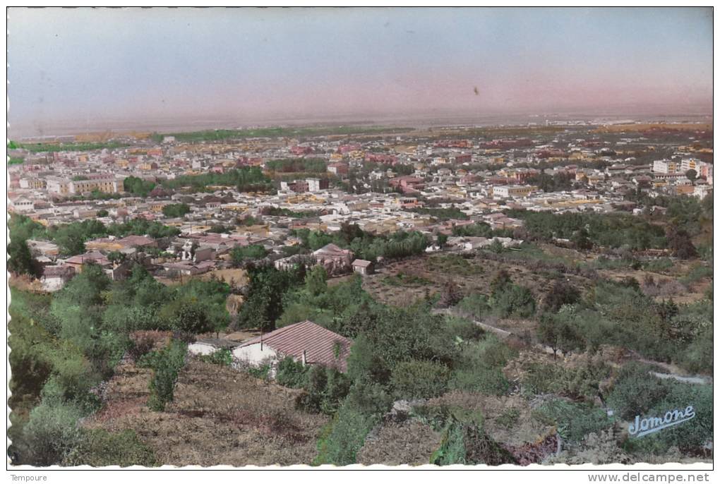 ALGERIE - BLIDA  - vue générale