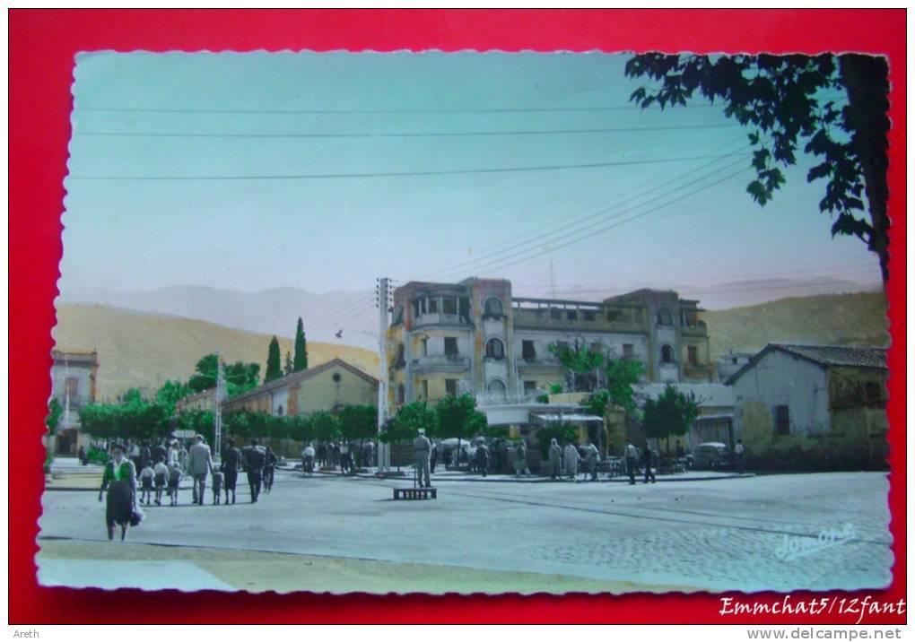 BLIDA - BOULEVARD TRUMELET ET PLACE DE VERDUN -