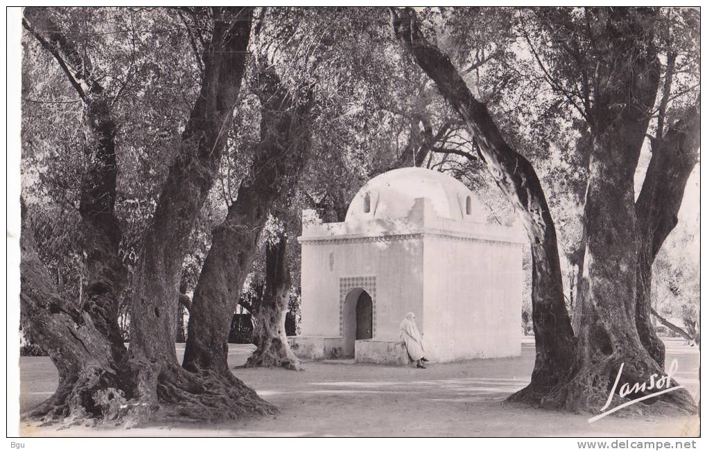 Blida (Algérie) - Le Bois Sacré - La Kouba Sidi Yacoub