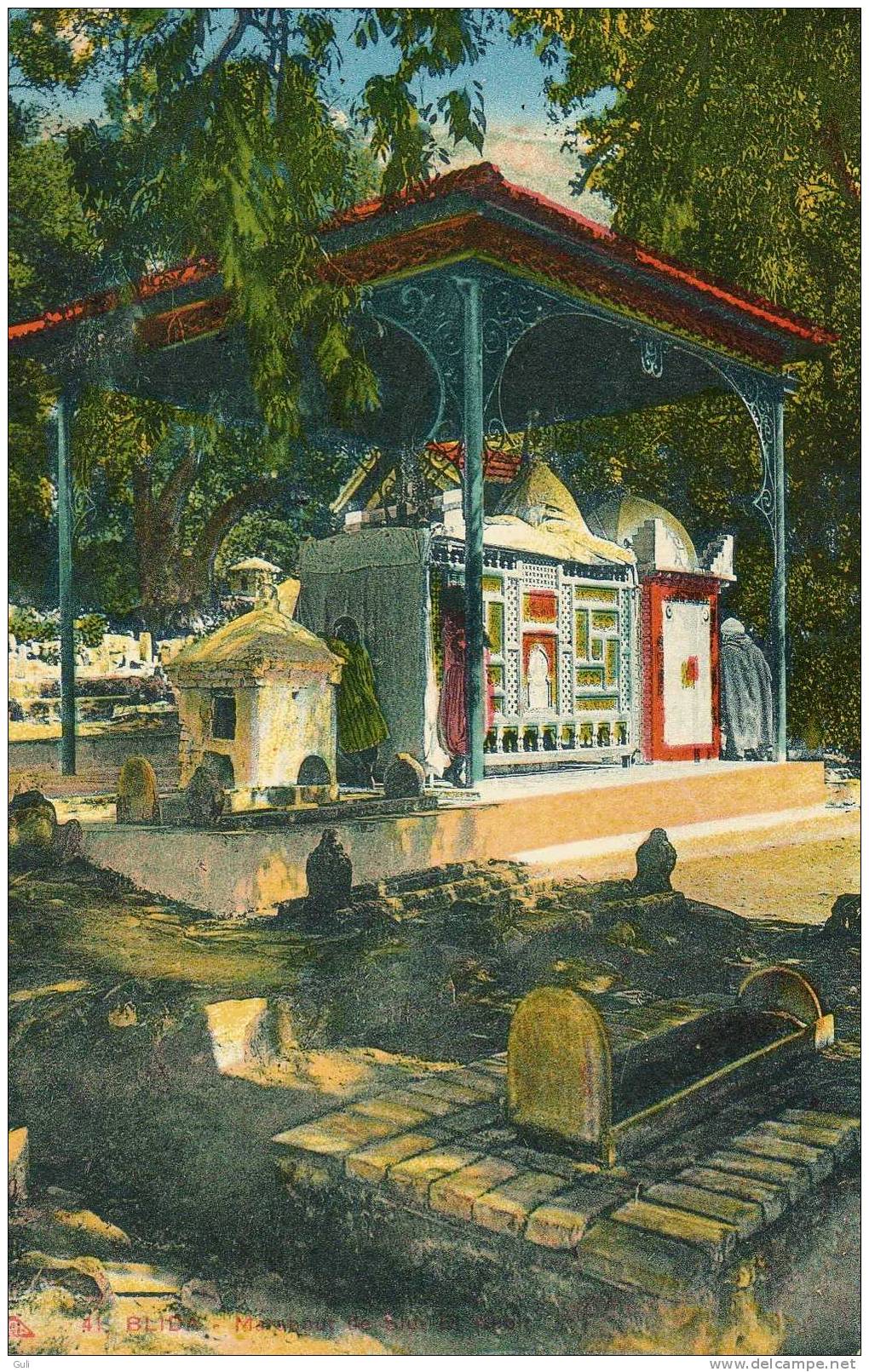 Algérie - BLIDA - marabout de Sidi El Kébir * PRIX FIXE - Editions idéale P-S   n° 41