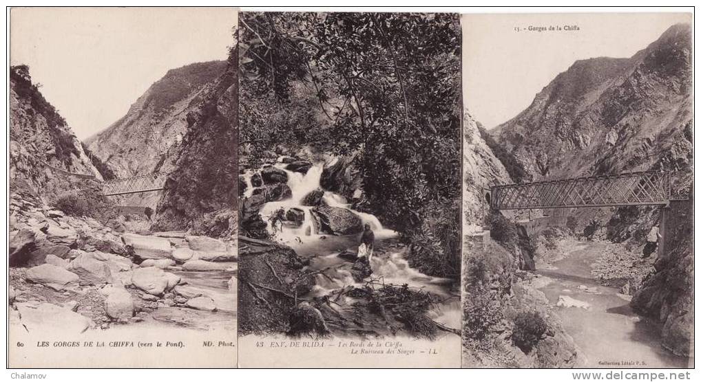 - Lot de 3 CPA  - Environs de Blida , la Chiffa  (3 cartes vierges)