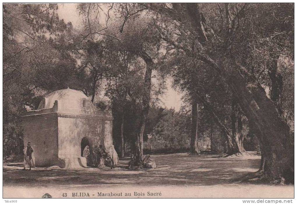 CPA BLIDALE MARABOUT AU BOIS SACRE.