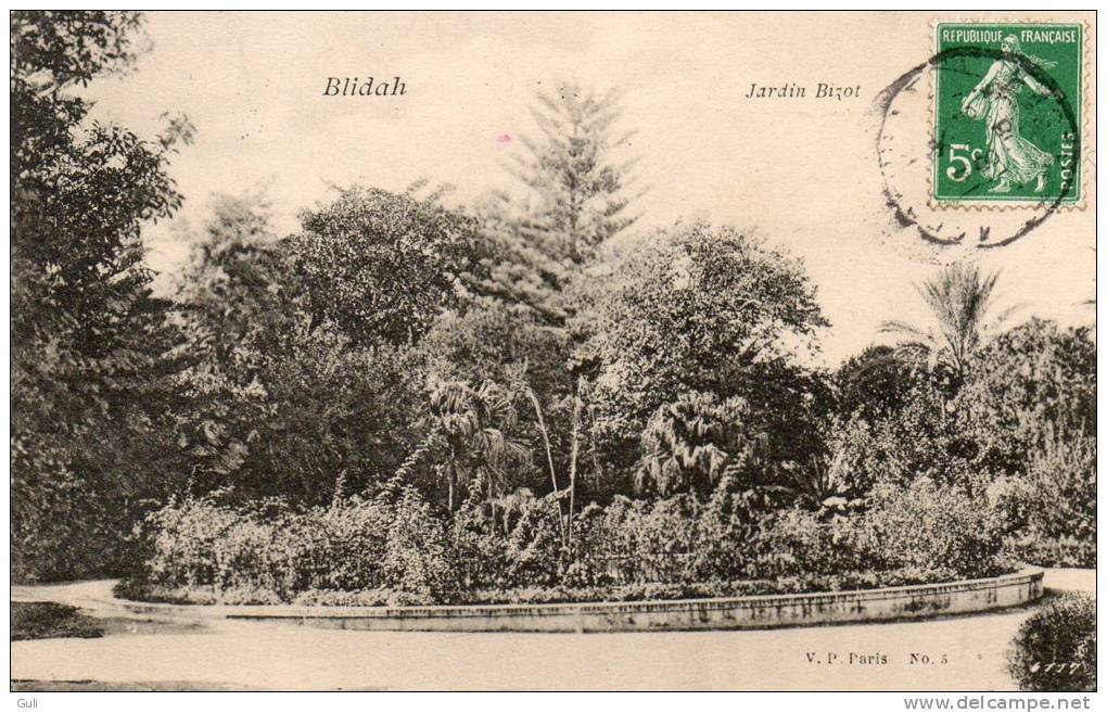 Algérie- (Blida) Jardin Bizot-  (année 1908) *PRIX FIXE