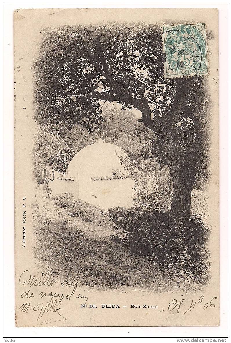 cp , ALGÉRIE , BLIDA , Bois Sacré