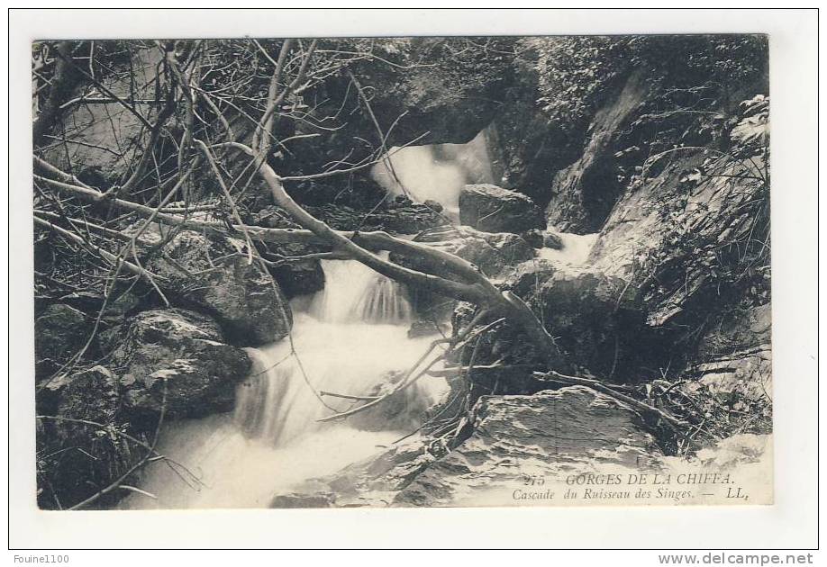 blida gorges de la chiffa  cascade du ruisseau des singes