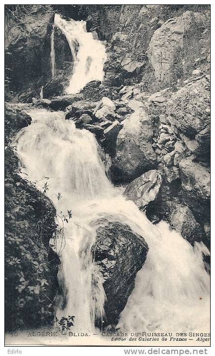 BLIDA cascade du ruisseau des singes  - écrite excellent état