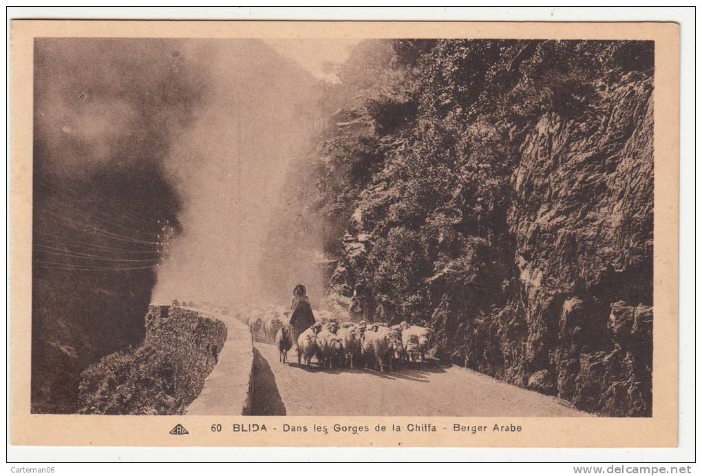 Algérie - Blida - Les Gorges de la Chiffa - Berger arabe - Editeur CAP N° 60