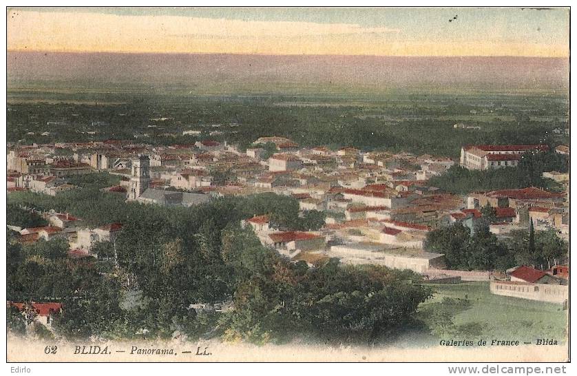 BLIDA  Panrama   écrite TTB
