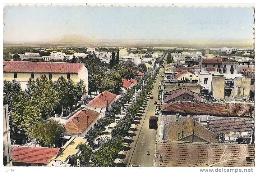 BILDA  vue générale écrite TTB