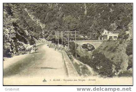 ALGERIE BLIDA ARRIVEE au RUISSEAU DES SINGES ANIMEE COUPLE ÂNES NON ECRITE NEUVE