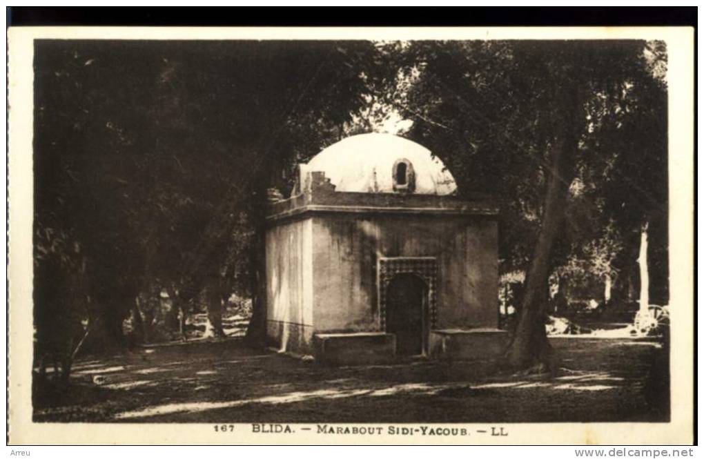 CPA - Algérie - BLIDA - Marabout Sidi-Yacoub - Neuve -