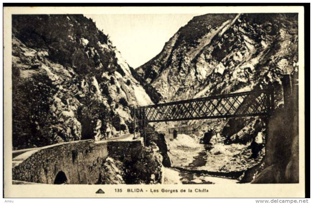 CPA - Algérie - BLIDA - Les berges de la Chiffa - Neuve -