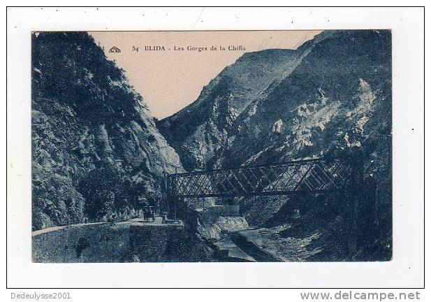 jui12  55636    blida  les gorges de la chiffa  N° 54