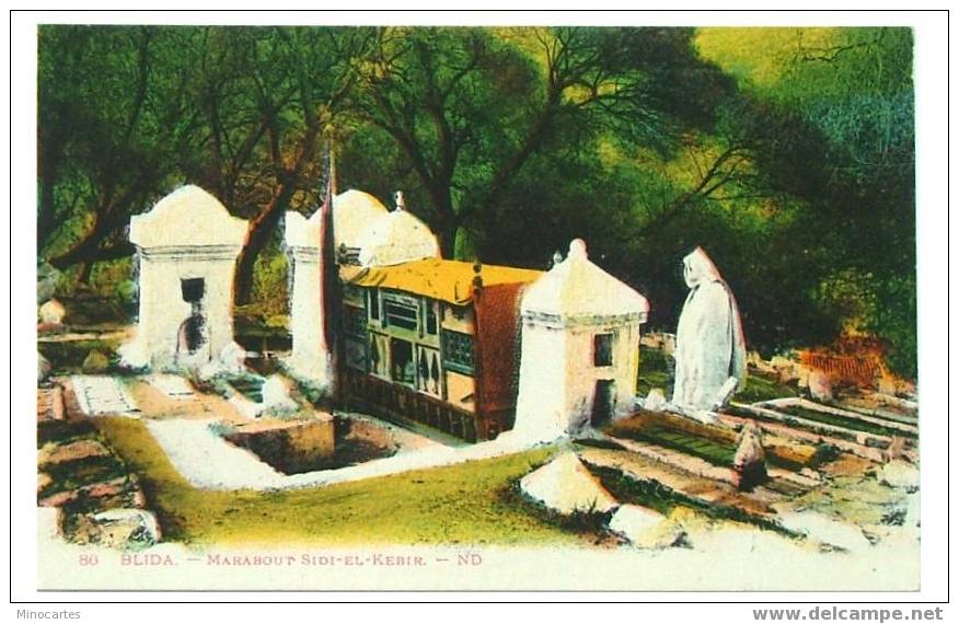 CPA Colorisée -Algérie - Blida - Marabout-El-Kebir