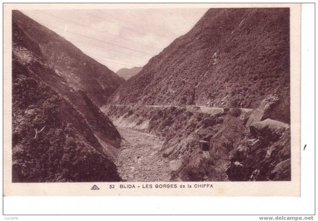 BLIDA - n° 52  - Les Gorges de la CHIFFA