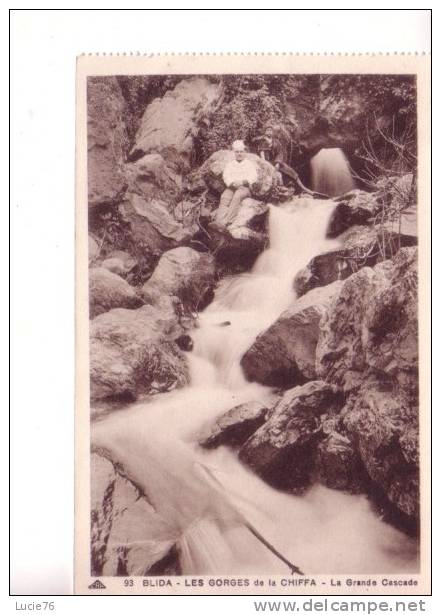 BLIDA - Les Gorges de la Chiffa  -  La Grande Cascade  - n° 93