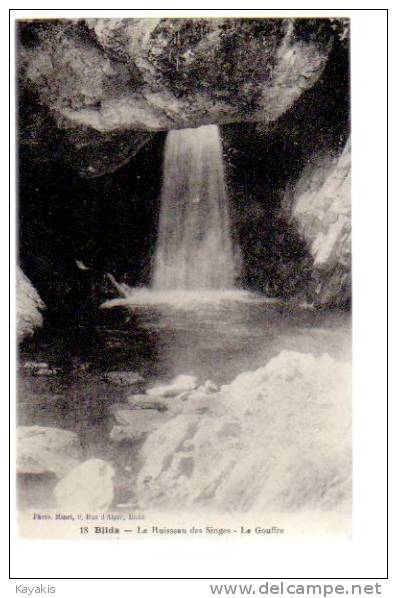 w - Cpa Blida - Le Ruisseau des Singes - Le Gouffre