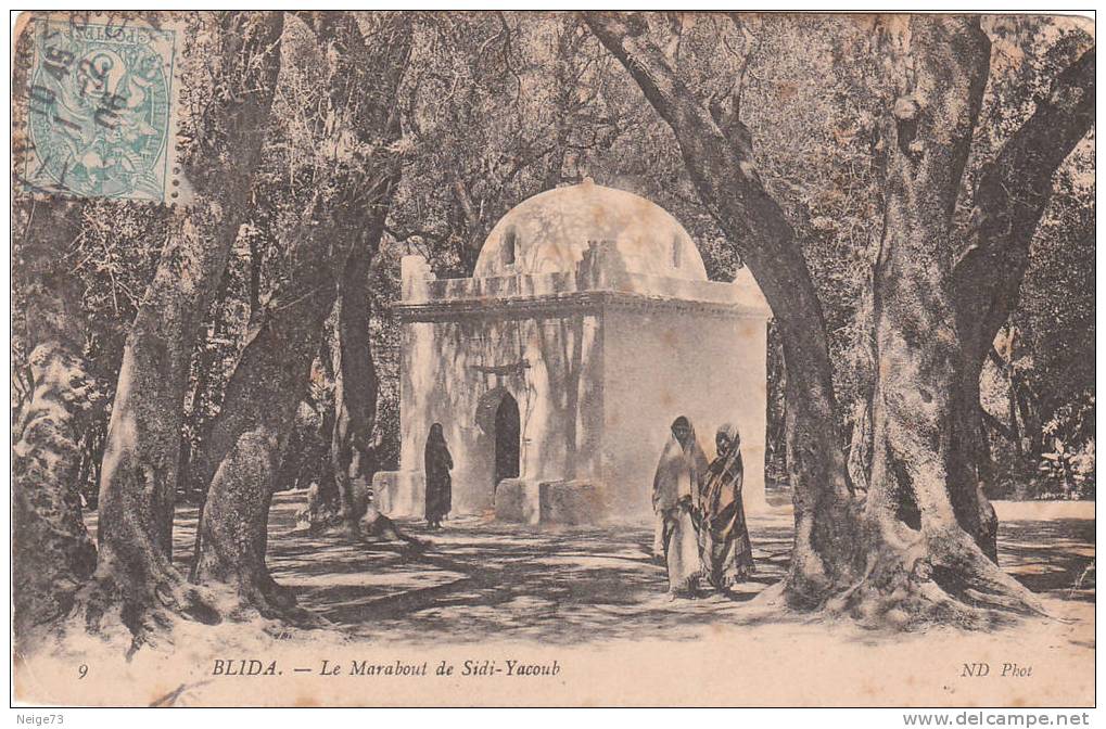 cpa de BLIDA  - le marabout de Sidi Yacoub