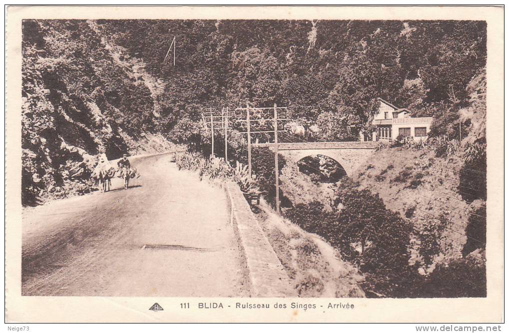 cpa de BLIDA  - ruisseau des singes - arrivée
