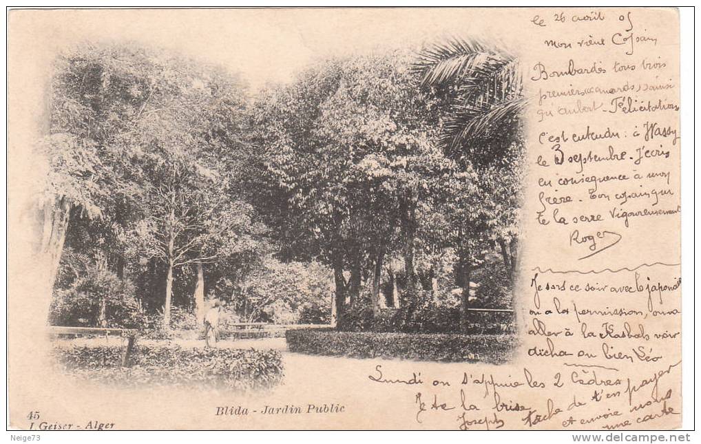 cpa de BLIDA  - jardin public vers 1900