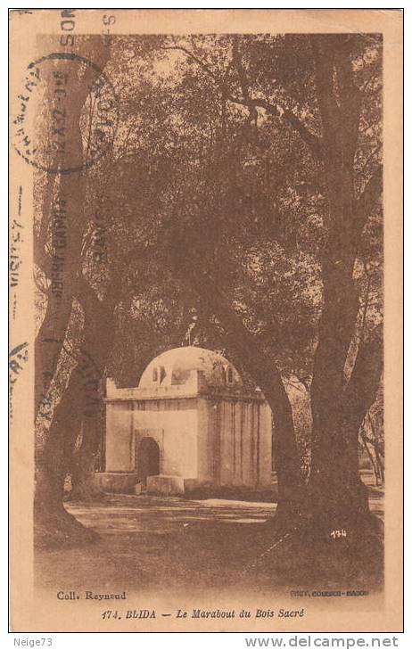 cpa de BLIDA  - le marabout du Bois sacré