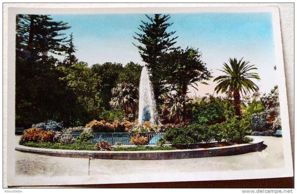 Algérie - CP N° L363 - Blida - CPSM/N