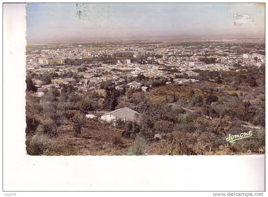 BLIDA - Vue Générale - n°  114