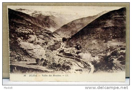 cpa Blida  Algérie - Vallée des Moulins , avec maisons -