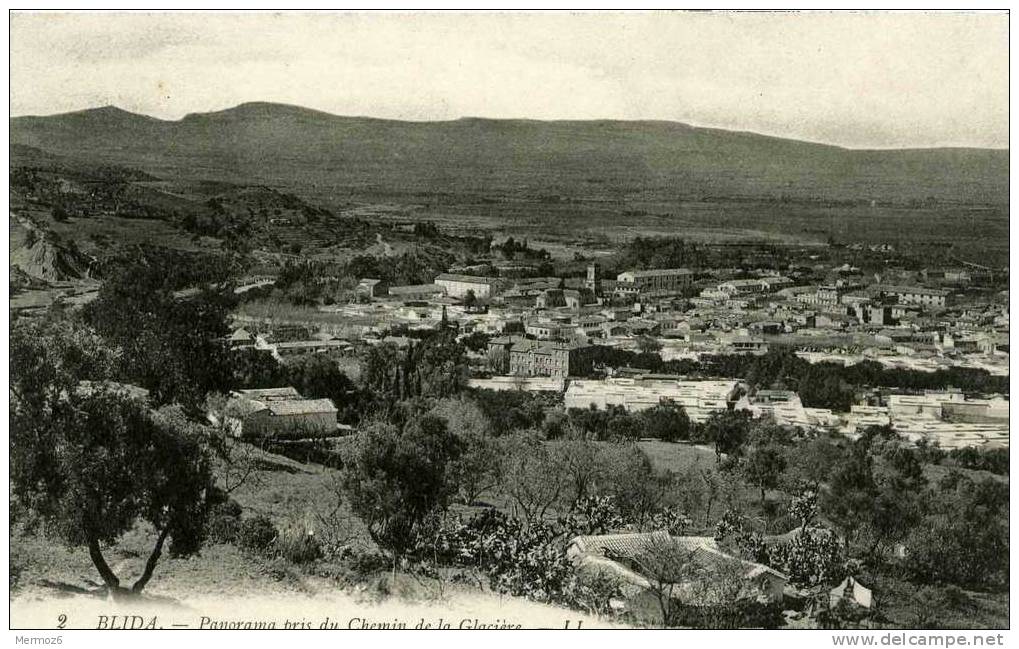 blida panorama pris du chemin de la glaciere 2 LL