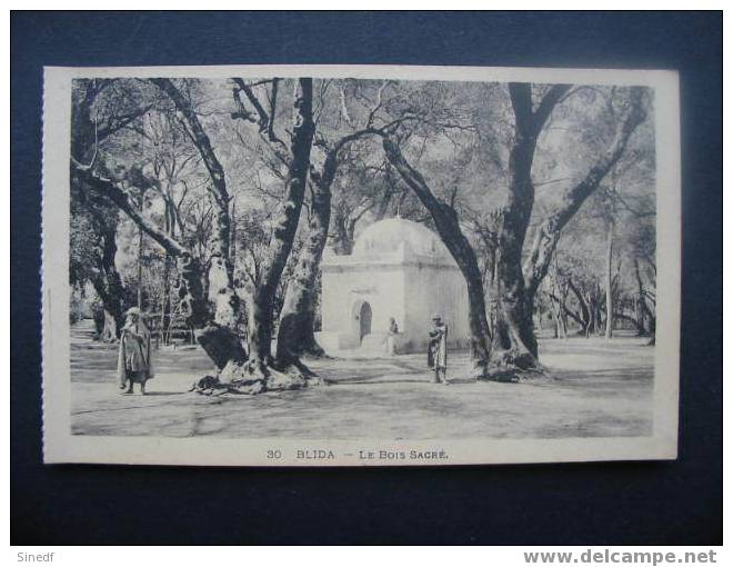 Algerie  BLIDA  le bois sacre