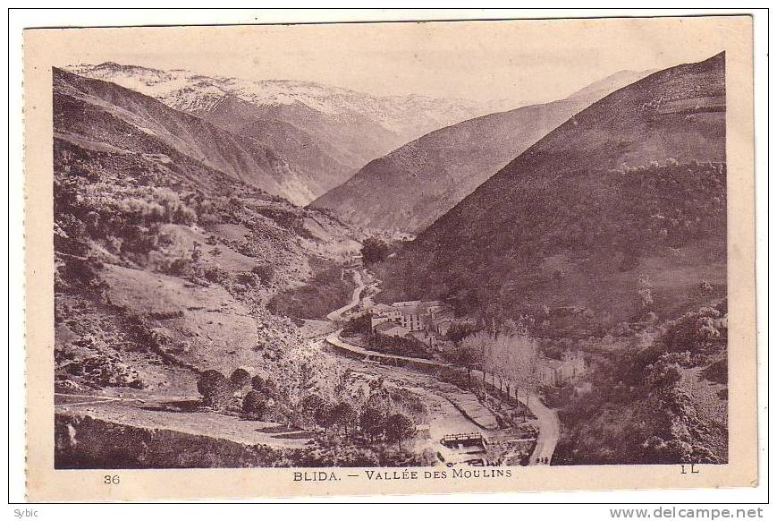 BLIDA - Vallée des Moulins